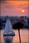  Catalina Sailboat cruises in harbor out to sea at sunset, from Inspiration Point, Corona del Mar, Newport Beach, California 