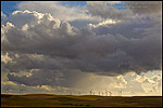 Photo: Power generating windmill wind turbines in wind farm fields, below dark grey thunderstorm clouds, Montezuma Hills, California