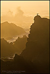 Photo: Bird on rock and crashing waves at sunset; Jug Handle State Natural Reserve; Mendocino County coast; California