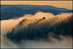 Photo: Sunrise light on coastal fog over hills near the mouth of the Klamath River, Redwood National Park, California