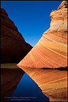 Photo: Striated sandstone reflected in seasonal pool of water at The Wave, Coyote Buttes, Paria Canyon Vermilion Cliffs Wilderness, Arizona