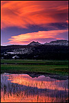 Photo: Lenticular cloud at sunset over Ragged Peak and Toulumne Meadows, Tioga Pass Road, Yosemite National Park, California