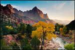 Photo: The Watchman over Cottonwood tree in fall along the Virgin River, Zion National Park, Utah