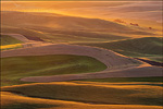 Photo: Rolling hills of the Palouse region at sunset, Washington