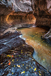 Photo: Left Fork of North Creek at the Subway, Zion National Park, Utah
