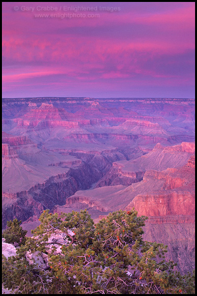 Photo: Alpenglow on storm clouds at sunset at Pima Point, South Rim, Grand Canyon National Park, Arizona