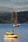 Morning light on sailboats in Tomales Bay, near Marshall, Marin County, California