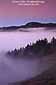 Pre-dawn light over fog bank on the shoulder of Mount Tamalpais,  Mount Tamalpais State Park, Marin County, California