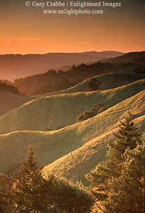 Sunset light on rolling green hills in spring along Bolinas Ridge, near Mount Tamalpais, Golden Gate National Recreation Area, Marin County, California