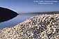 Pile of oyster shells in front of Schooner Bay, Drakes Estero, Point Reyes National Seashore, Marin County, California