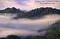 Fog in morning light rolling in over forest covered hills near Mount Tamalpais State Park, Marin County, California