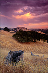 picture: Stormy sunrise in the Diablo foothills from Summit Ridge, Lafayette Contra Costa County, California