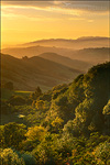 picture: Sunrise over the Orinda Hills, Contra Costa County