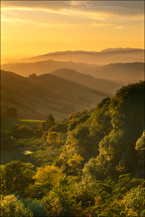 Spring sunrise over green hills, near Orinda, Contra Costa County, California