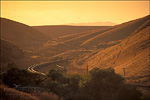picture: Golden sunset light on curve railroad tracks through grass hills in summer, Altamont Pass, Alameda County, California