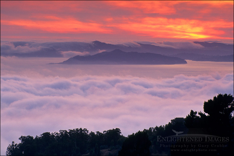picture: Fog banks roll into San Francisco Bay at sunset, from Tilden Regional Park, Berkeley Hills, California