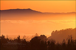 picture: Mount Tamalpais and fog over SF Bay at sunset, from Tilden Regional Park, Berkeley Hills, California