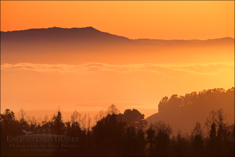 Photo: Mount Tamalpais and fog over SF Bay at sunset, from Tilden Regional Park, Berkeley Hills, California