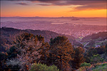picture: Sunset over the San Francisco Bay from Tilden Regional Park, Berkeley Hills, Alameda County, California