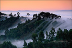 picture: Fog at sunrise rolling in over the Berkeley Hills from Tilden Regional Park, Alameda County, California