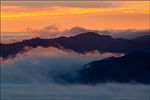 picture: Fog at sunset over San Francisco Bay seen from Tilden Regional Park, Berkeley Hills, California
