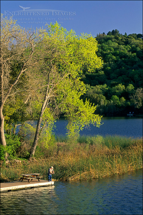 Photo: Fisherman at the Lafayette Reservoir, Lafayette, Contra Costa County, California