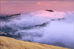 picture: Fog rolling in over the Oakland Hills at sunset from SF Bay, near Orinda, Contra Costa County, California