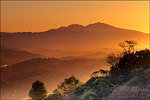 picture: Sunrise over the Lamorinda Hills and Mt. Diablo, from Vollmer Peak, Tilden Regional Park, Berkeley Hills, California