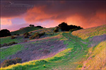picture: Stormy sunset in the hills along Lafayette Ridge,  above Lafayette, Contra Costa County, California