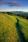 picture: Sunset light on green hills and trail along Lafayette Ridge, Lafayette, California 