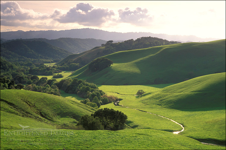 Photo: Oak trees, green grass hills over stream water in valley in spring at sunset, Briones Regional Park, Contra Costa County, California