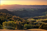 picture: Sunset light on oak covered hillsides, Mount Diablo State Park, Contra Costa County, California