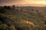 picture: Clouds at sunset over golden hills and oak trees, Mount Diablo State Park, Contra Costa, California