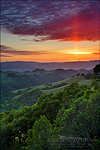 picture: Sun pillar at sunset over oak trees and green hills in Spring, Mount Diablo State Park, Contra Costa County, California