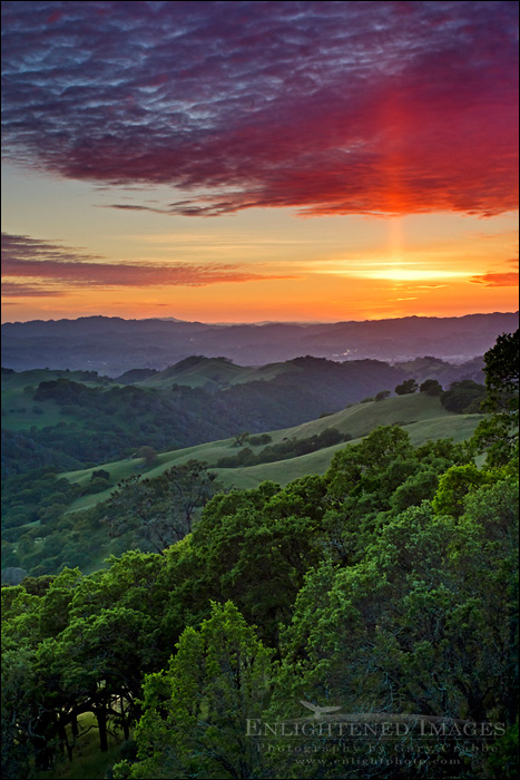 picture: Sun pillar at sunset over oak trees and green hills in Spring, Mount Diablo State Park, Contra Costa County, California