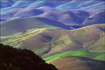 picture: Rolling hills of grass pasturelands in spring, Tassajara Region, Contra Costa County, California
