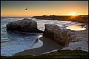 Photo: Sunset at Natural Bridges State Beach, Santa Cruz, California