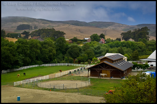 Horse farm and hills at San Gregorio, San Mateo County, California