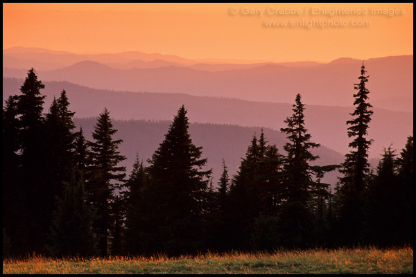 Picture: Evergreen pine trees and distant hills at sunset, Crater Lake National Park, Oregon