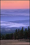 Picture: Misty clouds at dawn over evergreen trees and forest, Crater Lake National Park, Oregon