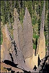 Picture: Volcanic Pumice Ash solidified Fumaroles reaveled due to erosion, The Pinnacles, Crater Lake National Park, Oregon