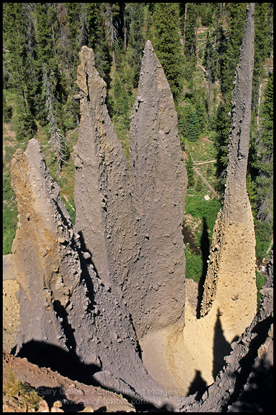 Photo: Volcanic Pumice Ash solidified Fumaroles reaveled due to erosion, The Pinnacles, Crater Lake National Park, Oregon