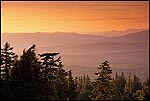 Picture: Sunset over trees, forest, and distant hills, Crater Lake National Park, Oregon