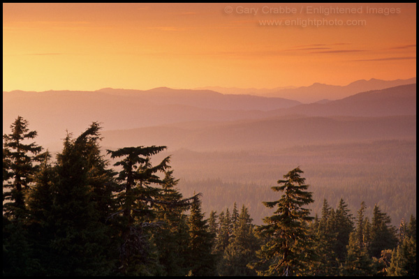 Photo: Sunset over trees, forest, and distant hills, Crater Lake National Park, Oregon