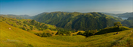 Picture: Rolling green hills, grass, and trees in spring, Sunol Regional Wilderness, California