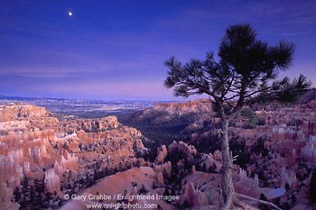 Evening moonrise over Bryce Canyon, Bryce Canyon National Park, Southern Utah