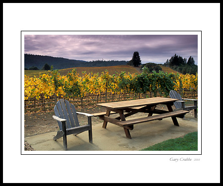 Wooden chairs and picnic table next to vineyard in fall, Anderson Valley, Mendocino County, California; Wine Country Vineyard, pictures, photos, prints, photographs, photography, framed wall art decor images and wall murals