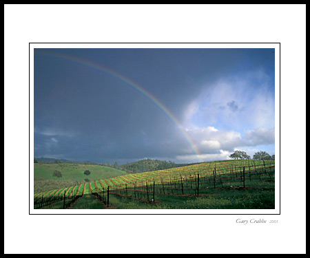 Rainbow and storm clouds in spring over vineyard near St. Helena, Napa County, California; Wine Country Vineyard, pictures, photos, prints, photographs, photography, framed wall art decor images and wall murals