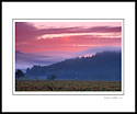 Red clouds and fog at sunrise over hill and vineyard near Oakville, Napa Valley, California