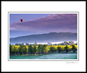 Hot Air Balloon and clouds over vineyard at sunrise, Yountville, Napa Valley, California